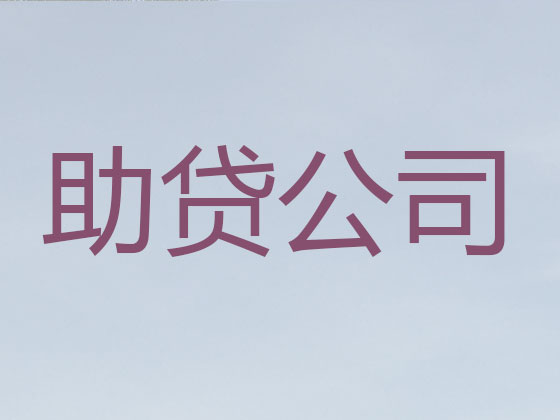 连云港抵押贷款公司-信用贷款